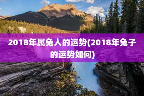 2018年属兔人的运势(2018年兔子的运势如何)