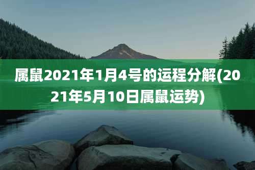 属鼠2021年1月4号的运程分解(2021年5月10日属鼠运势)