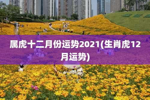 属虎十二月份运势2021(生肖虎12月运势)