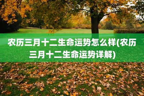 农历三月十二生命运势怎么样(农历三月十二生命运势详解)