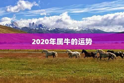 2020年属牛的运势