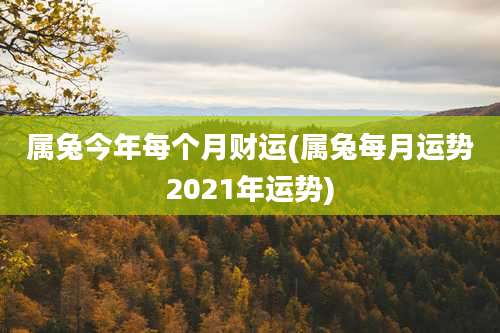 属兔今年每个月财运(属兔每月运势2021年运势)