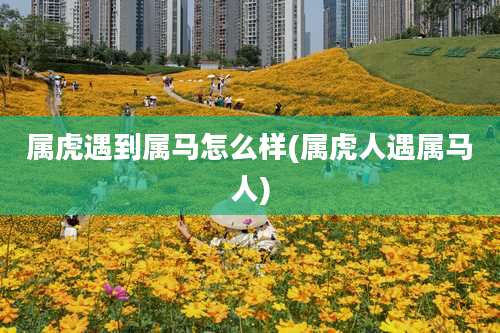 属虎遇到属马怎么样(属虎人遇属马人)