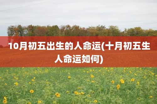 10月初五出生的人命运(十月初五生人命运如何)