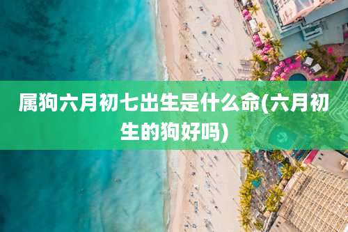 属狗六月初七出生是什么命(六月初生的狗好吗)