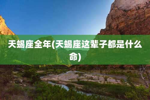 天蝎座全年(天蝎座这辈子都是什么命)