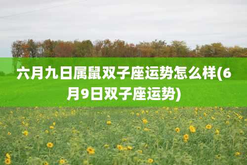 六月九日属鼠双子座运势怎么样(6月9日双子座运势)