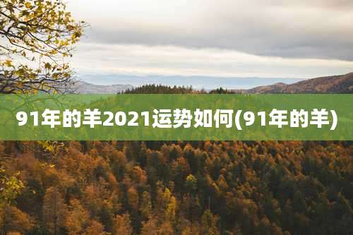 91年的羊2021运势如何(91年的羊)