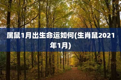 属鼠1月出生命运如何(生肖鼠2021年1月)