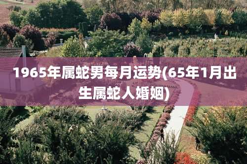1965年属蛇男每月运势(65年1月出生属蛇人婚姻)