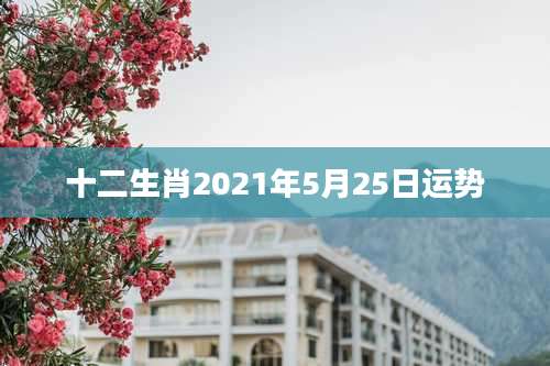 十二生肖2021年5月25日运势