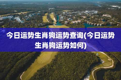 今日运势生肖狗运势查询(今日运势生肖狗运势如何)