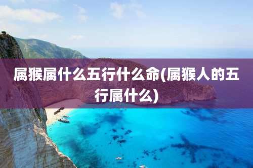 属猴属什么五行什么命(属猴人的五行属什么)