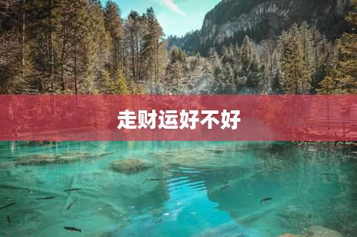 走财运好不好