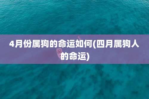 4月份属狗的命运如何(四月属狗人的命运)