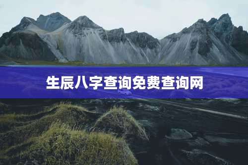 生辰八字查询免费查询网