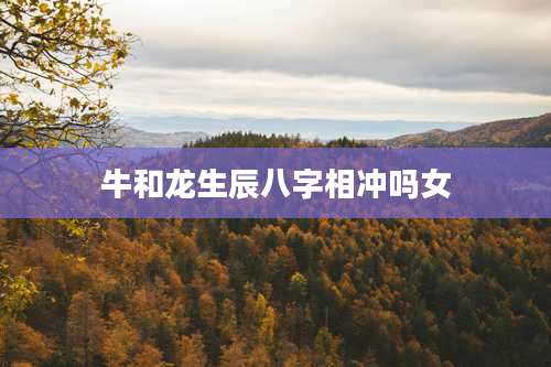 牛和龙生辰八字相冲吗女