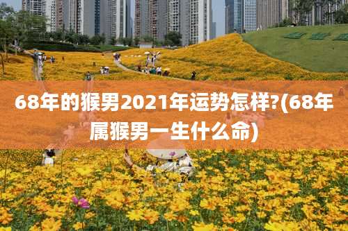 68年的猴男2021年运势怎样?(68年属猴男一生什么命)