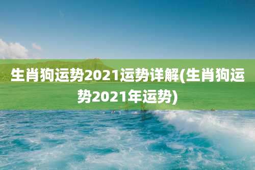 生肖狗运势2021运势详解(生肖狗运势2021年运势)
