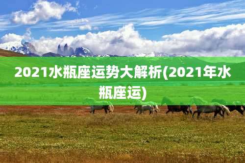 2021水瓶座运势大解析(2021年水瓶座运)