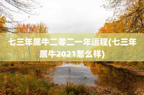七三年属牛二零二一年运程(七三年属牛2021怎么样)