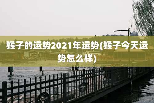 猴子的运势2021年运势(猴子今天运势怎么样)
