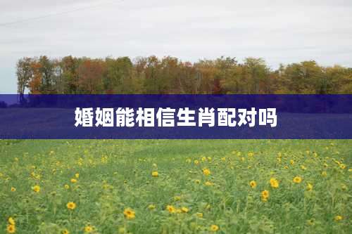 婚姻能相信生肖配对吗