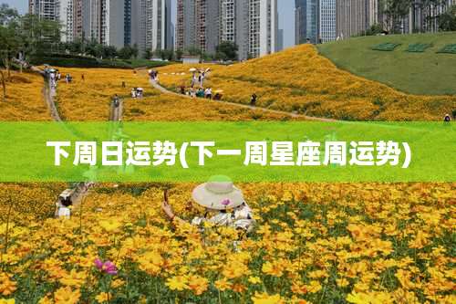 下周日运势(下一周星座周运势)