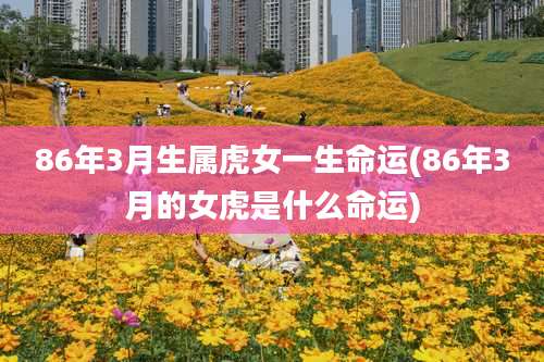 86年3月生属虎女一生命运(86年3月的女虎是什么命运)