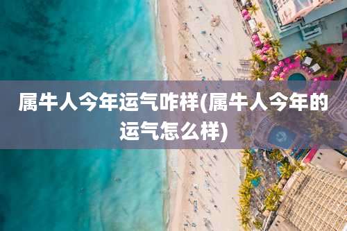 属牛人今年运气咋样(属牛人今年的运气怎么样)