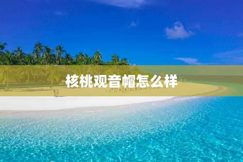 核桃观音帽怎么样