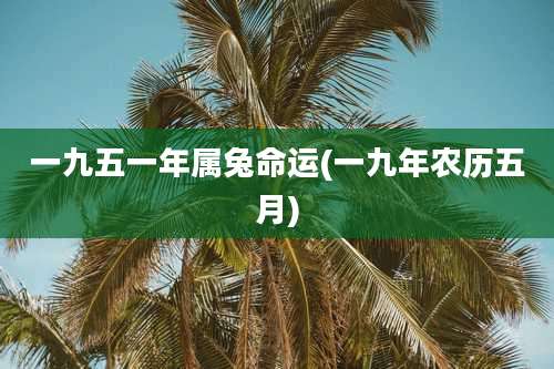 一九五一年属兔命运(一九年农历五月)