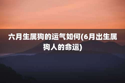 六月生属狗的运气如何(6月出生属狗人的命运)