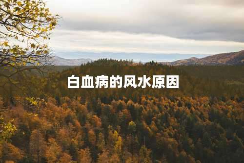 白血病的风水原因