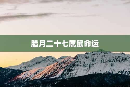 腊月二十七属鼠命运