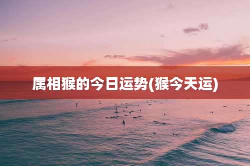 属相猴的今日运势(猴今天运)