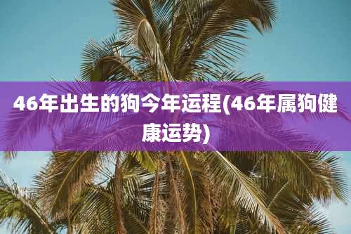 46年出生的狗今年运程(46年属狗健康运势)