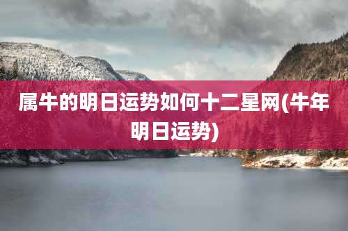 属牛的明日运势如何十二星网(牛年明日运势)