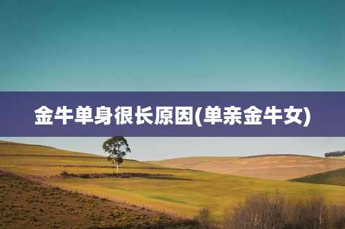 金牛单身很长原因(单亲金牛女)
