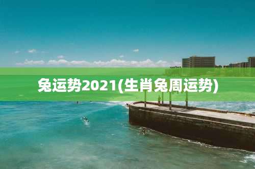 兔运势2021(生肖兔周运势)