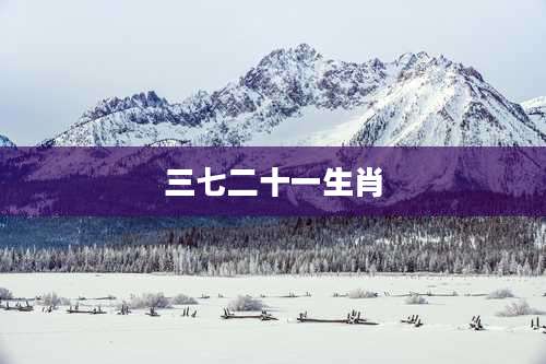 三七二十一生肖