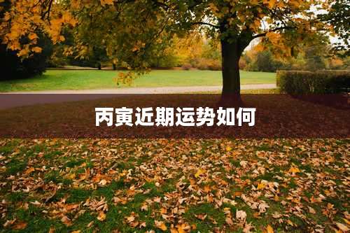 丙寅近期运势如何