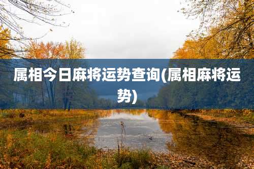 属相今日麻将运势查询(属相麻将运势)