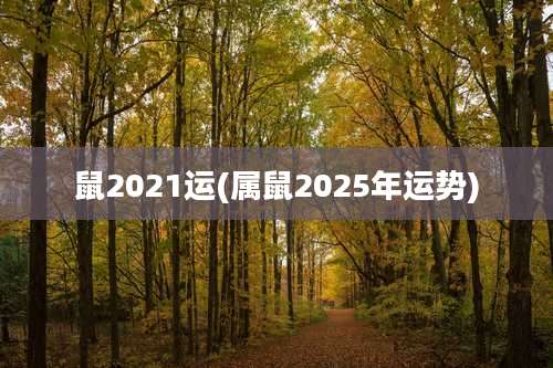 鼠2021运(属鼠2025年运势)