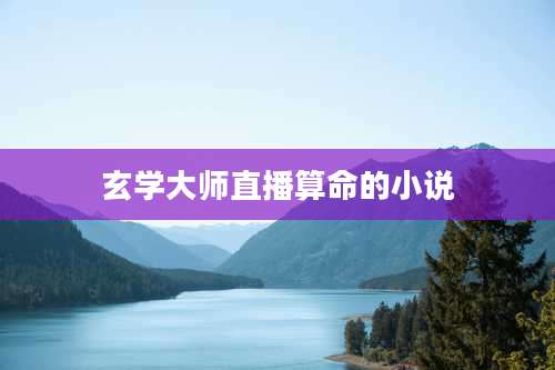 玄学大师直播算命的小说