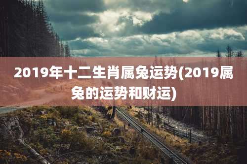 2019年十二生肖属兔运势(2019属兔的运势和财运)