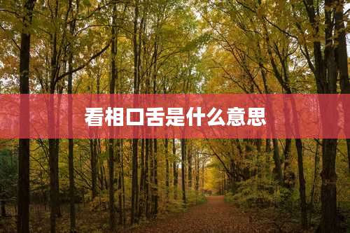 看相口舌是什么意思