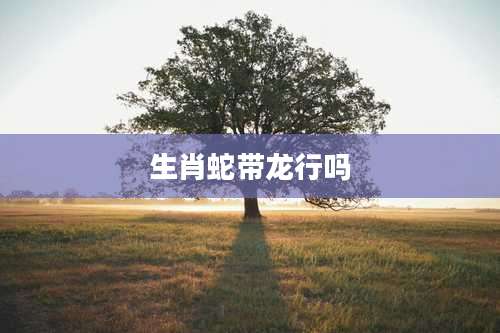 生肖蛇带龙行吗