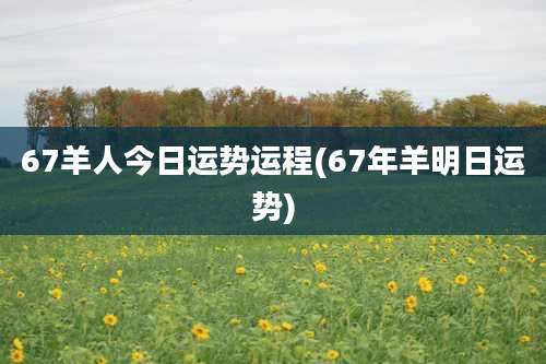 67羊人今日运势运程(67年羊明日运势)