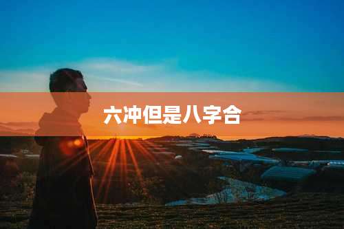 六冲但是八字合